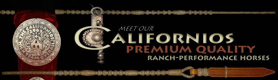 The Californios Ranch Roping & Stock Horse Contest